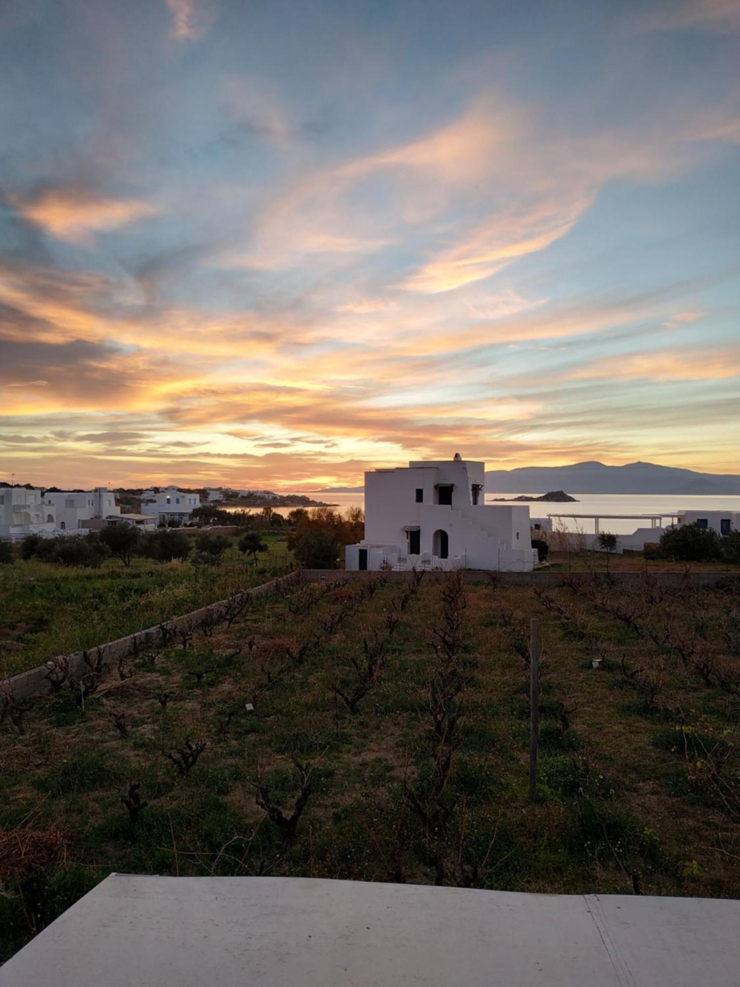 Villa Matina Mikri Vigla Camera foto